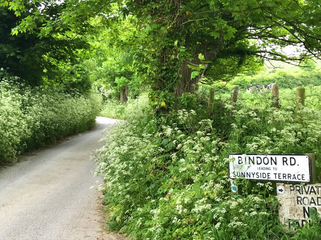 Bindon Road