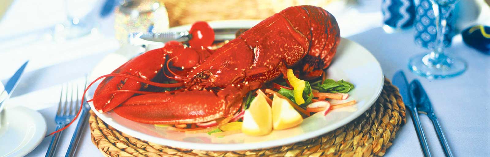 Lulworth Lobster